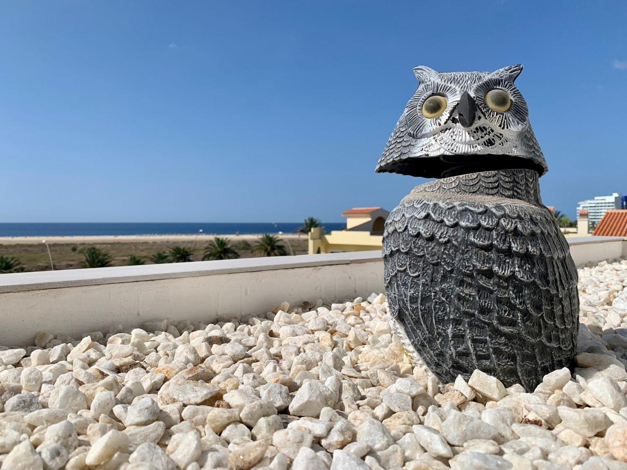 Apartmán Vivienda Gorrion Morro Jable  Exteriér fotografie